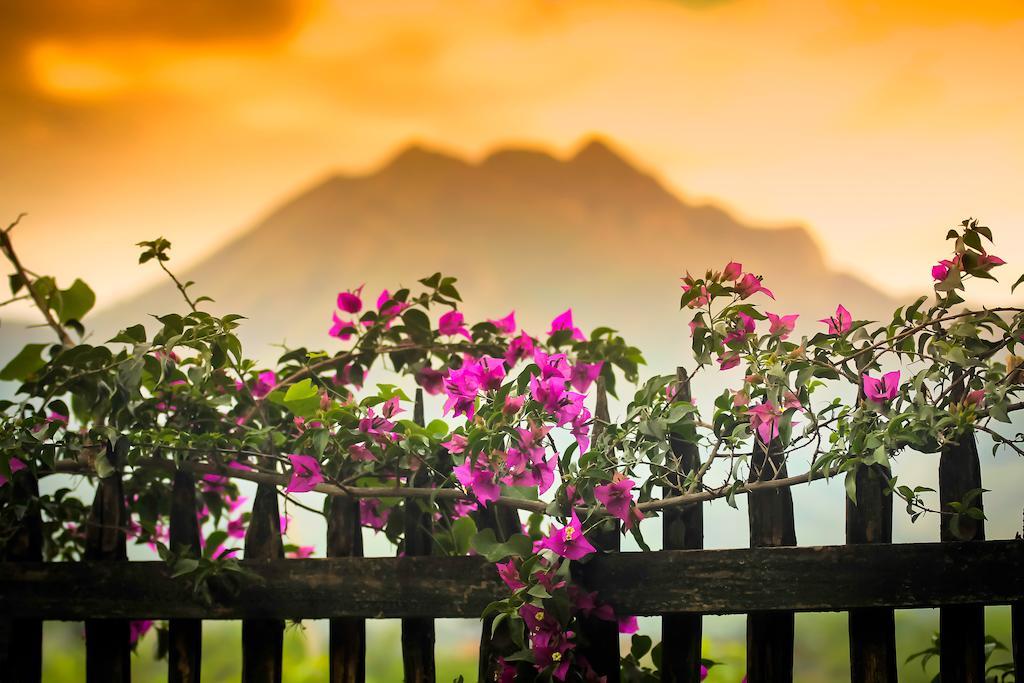 Casa Madre Tierra Hotel Vilcabamba Eksteriør billede