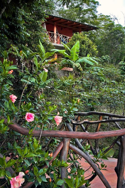 Casa Madre Tierra Hotel Vilcabamba Eksteriør billede